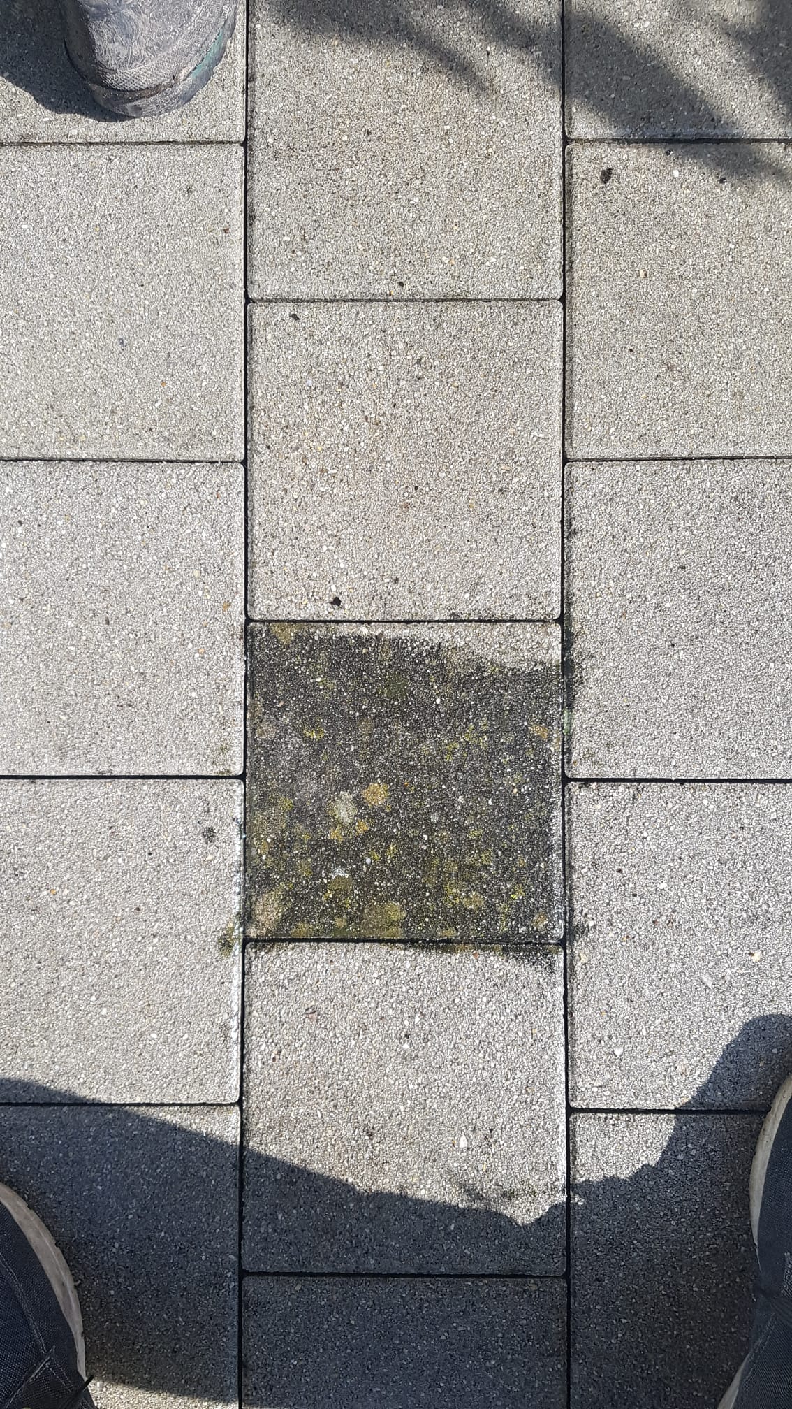 Arbeitsbeispiel